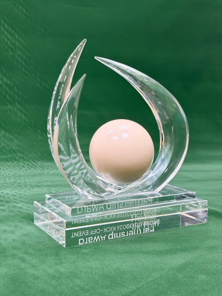 Awardify bespoke sculptural crystal award